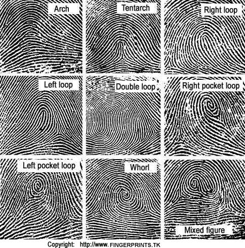Fingerprint Types