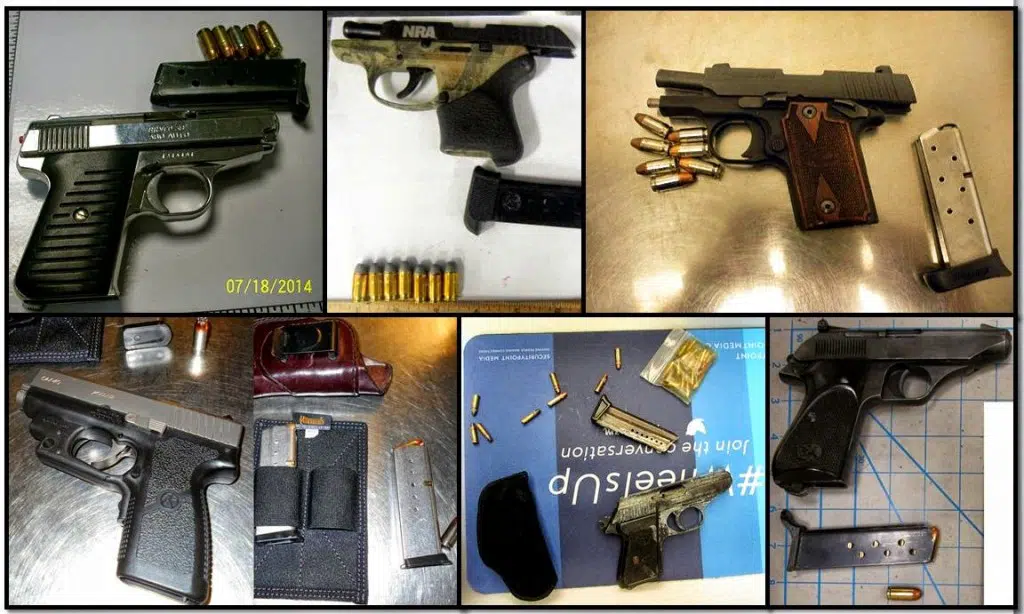 TSA Guns