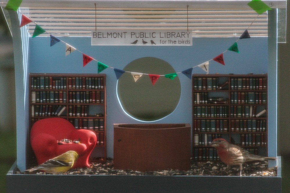 Bird Library