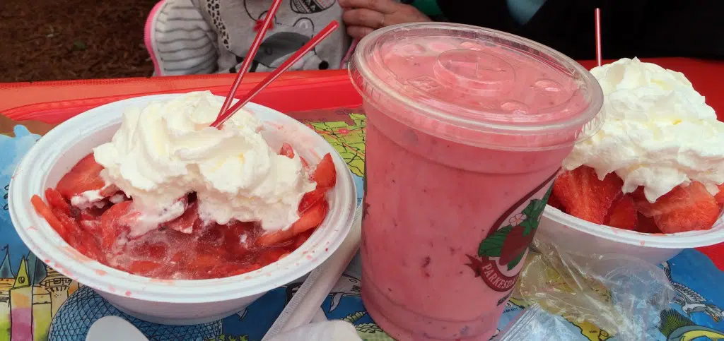 Strawberry Festival Florida