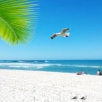 Beach Season Florida