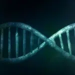 DNA Mystery