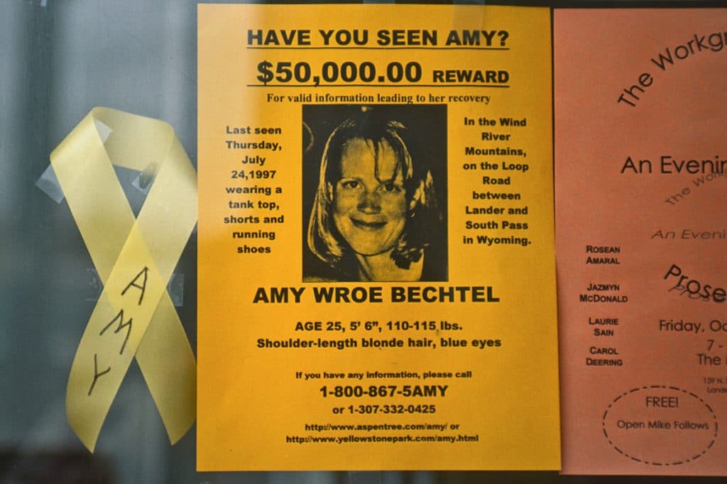 Amy Brechtel Missing Poster