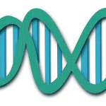 Genes DNA