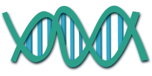 Genes DNA