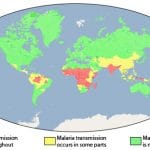 Malaria Impact Worldwide
