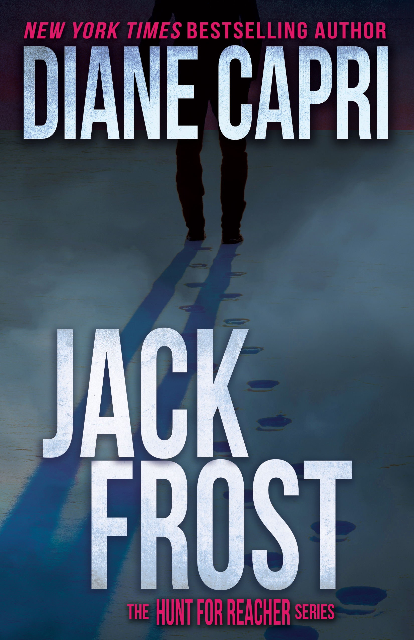 2017, Trade Paperback Don't Know Jack The Hunt for Jack Reacher Series by Diane Capri for sale online 